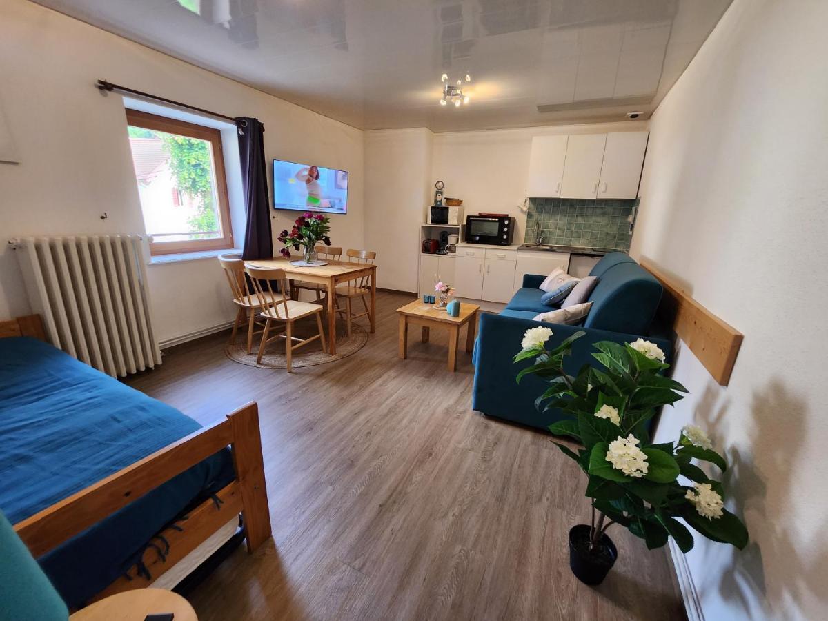 Gite Bruyere, 2 A 5 Personnes Avec Salle De Jeux Et Spa Dans La Residence Ventron Ngoại thất bức ảnh