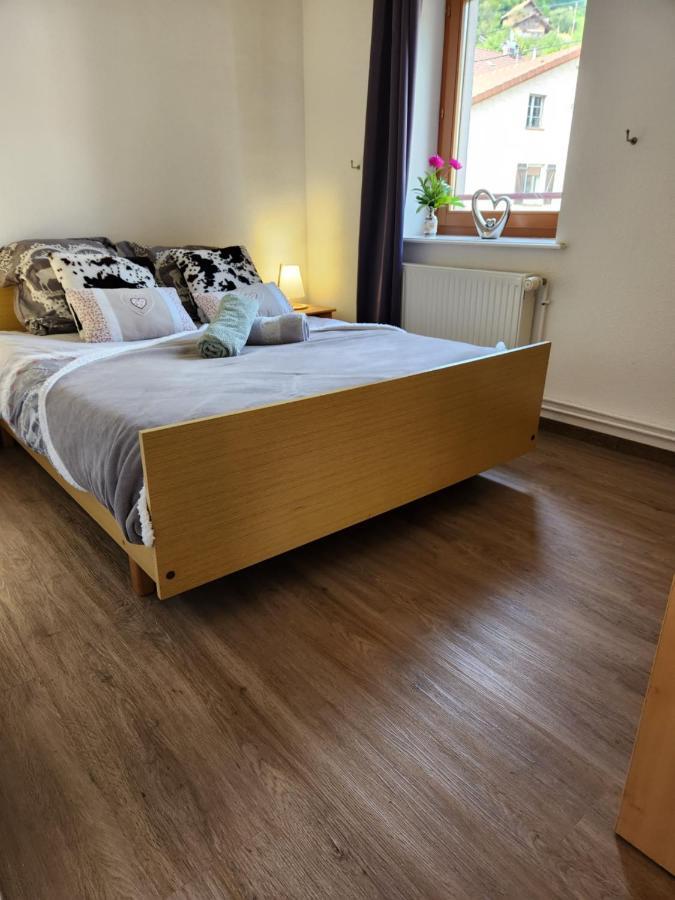 Gite Bruyere, 2 A 5 Personnes Avec Salle De Jeux Et Spa Dans La Residence Ventron Ngoại thất bức ảnh