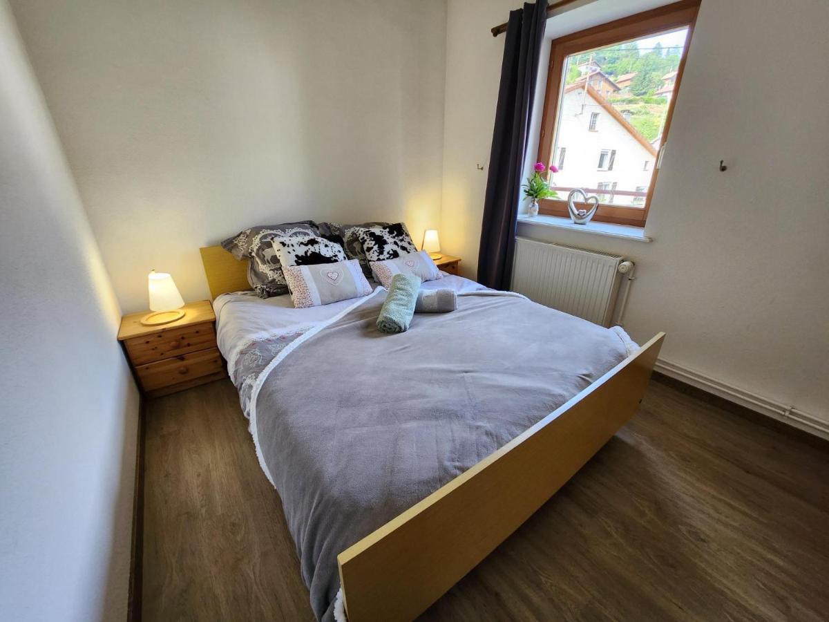 Gite Bruyere, 2 A 5 Personnes Avec Salle De Jeux Et Spa Dans La Residence Ventron Ngoại thất bức ảnh